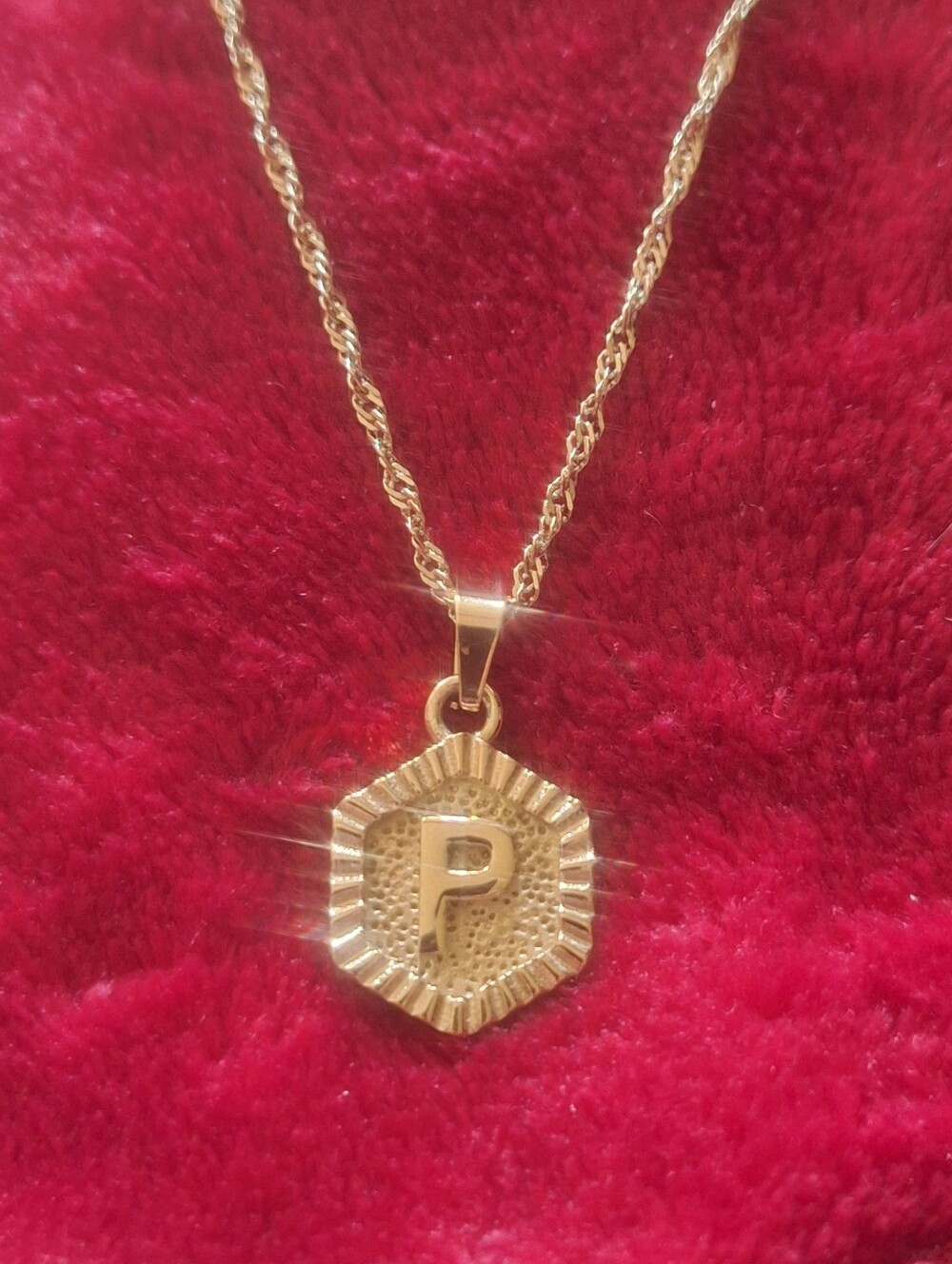 Oak & Ivy Boutique Stainless Gold Tone P Initial Adjustable Necklace NWOT